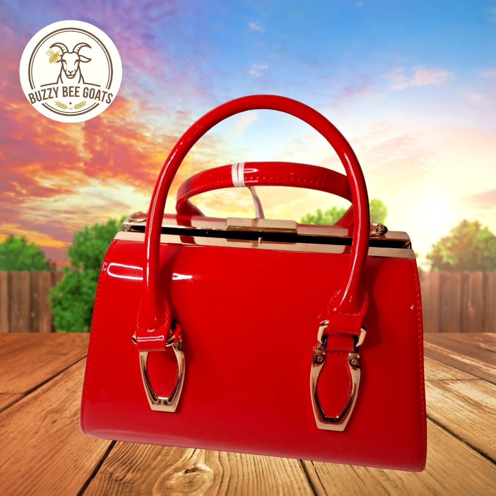 La Terre Patent Leather Tote Bag Crossbody Handbag Structured Top Handle NWT